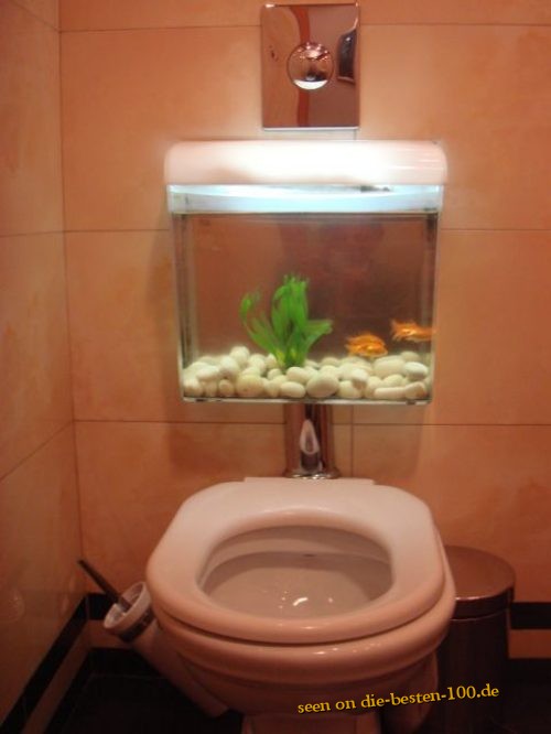 Aquarium Toiletten-SpÃ¼lung