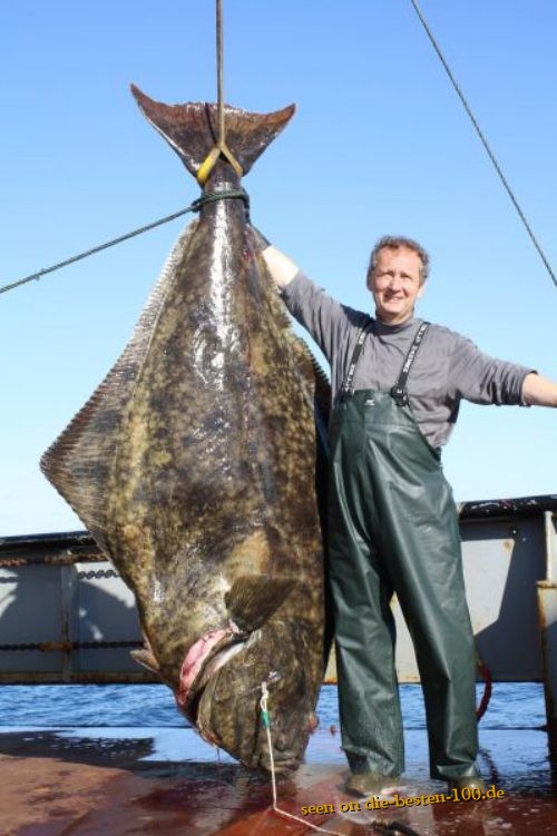 Real Big unknown Fish - funny-awesome-photos