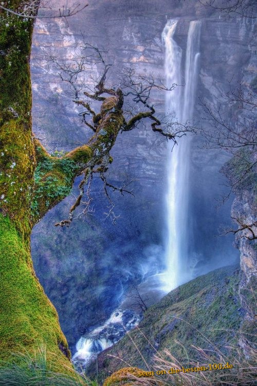 Beautiful Nature - Wasserfall Baum