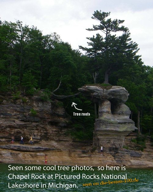 SchÃ¶ne Fels Formation mit Baumwurzeln