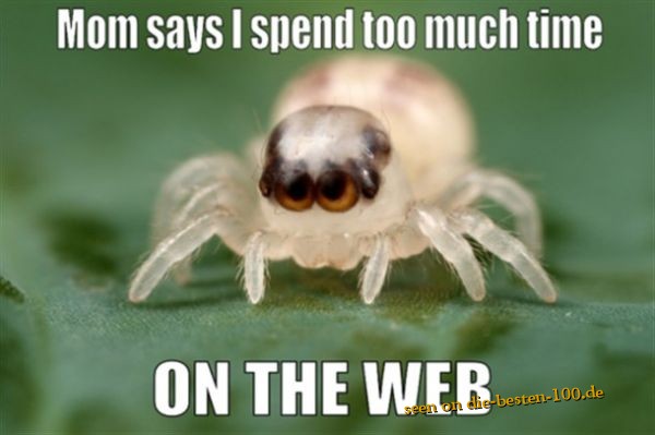 Mom says I spend to much time on the web