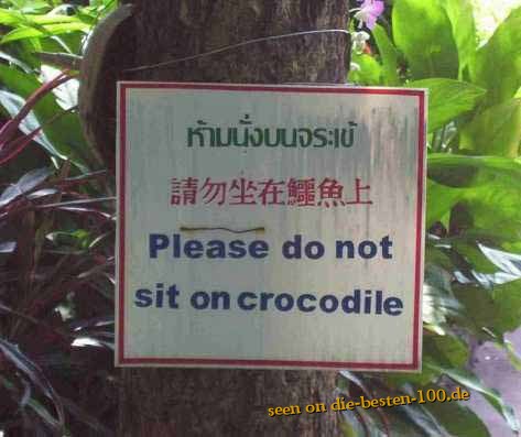 Please do not sit on Crocodiles
