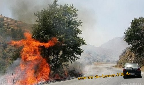Die besten 100 Bilder in der Kategorie natur: Burning Man - Forest Fire