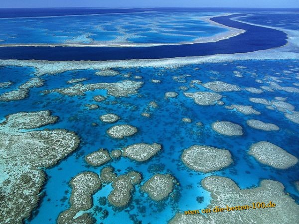 Great Barrier Reef - Beautiful Awesome Nature