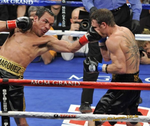 Die besten 100 Bilder in der Kategorie sport: Flat Face Boxing Punch