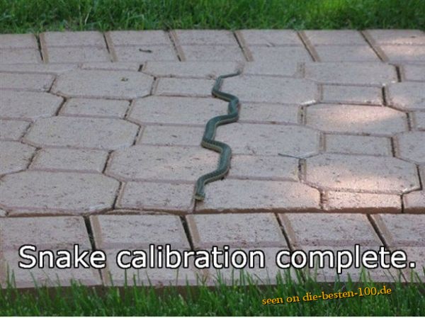 Snake Calibration Complete - Geometric Snake