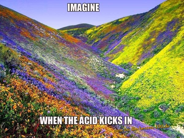 Acid Farbrausch der Natur