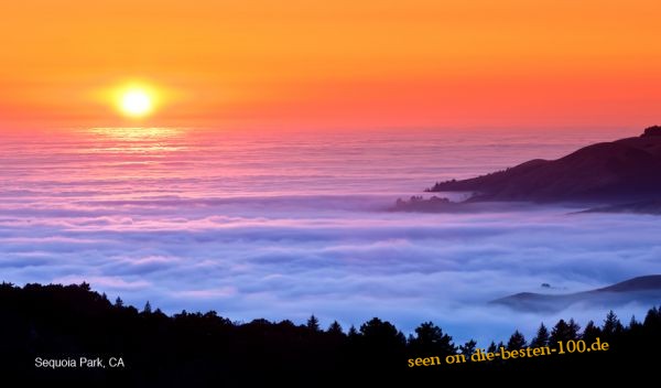 Die besten 100 Bilder in der Kategorie natur: Beautiful Nature - Sunset over Clouds