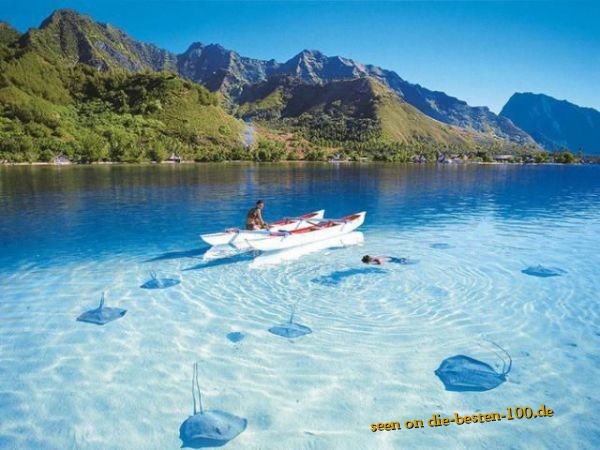 Die besten 100 Bilder in der Kategorie natur: WunderschÃ¶ne Natur - Stachelrochen in Kristallklarem Wasser