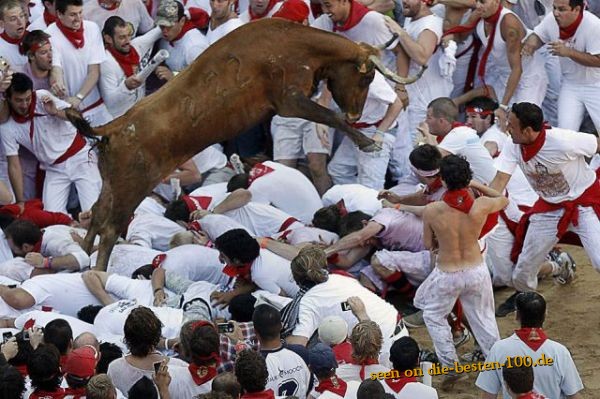 Die besten 100 Bilder in der Kategorie schlimme_sachen: Stier-QuÃ¤lerei 