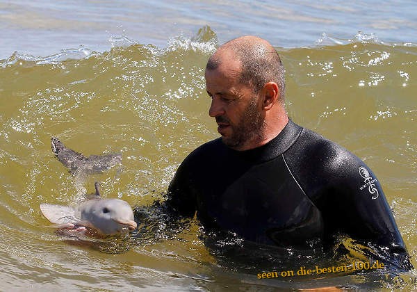 Die besten 100 Bilder in der Kategorie fische_und_meer: Delphin-Baby 