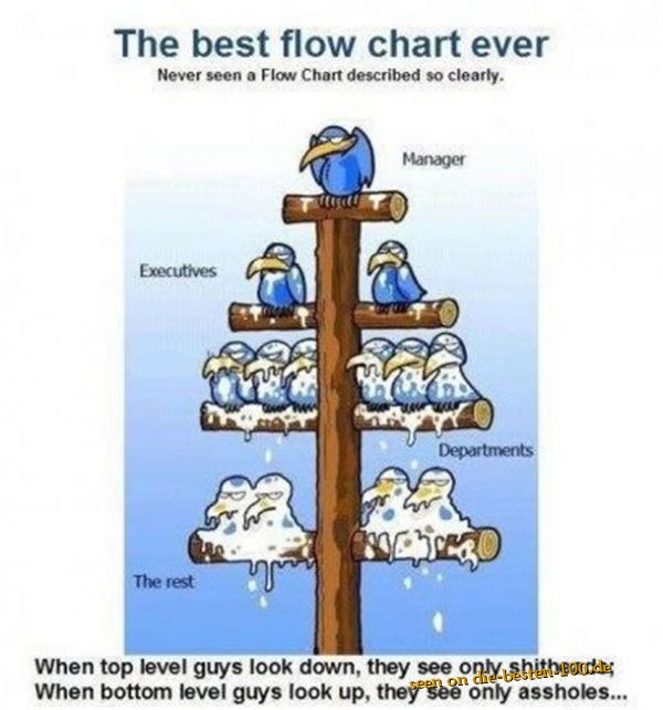 Best Flow Chart ever