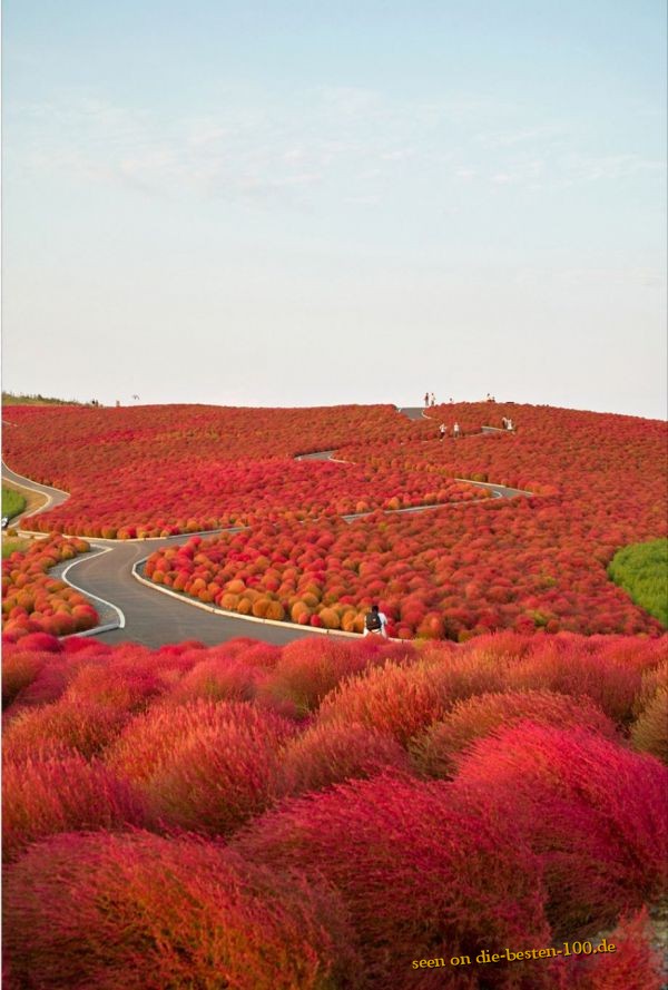 Rote Landschaft