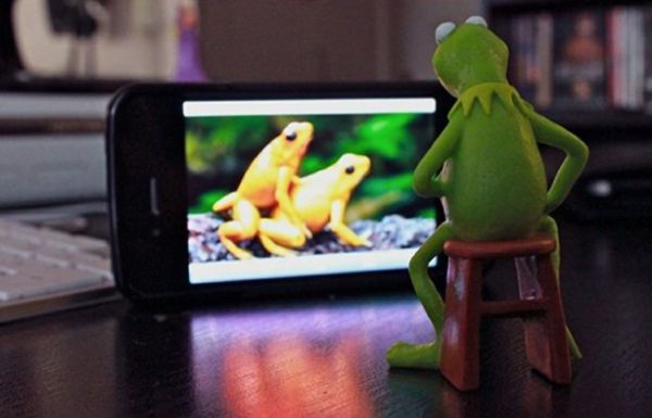 Die besten 100 Bilder in der Kategorie quatsch: Porno-Kermit