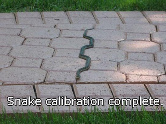 Snake calibration complete