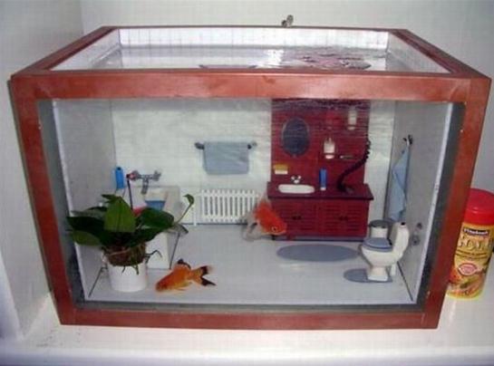 Badezimmer Aquarium