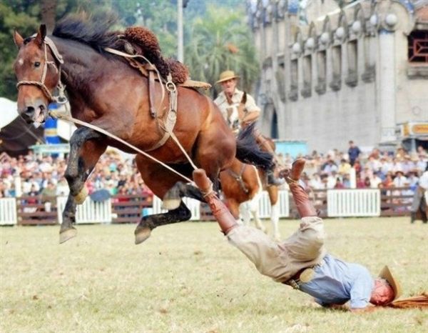 Die besten 100 Bilder in der Kategorie shit_happens: You do it Wrong - Shit happens - Horse riding Fail