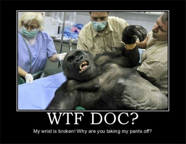 WTF Doc - Warum zieht ihr meine Hose aus - Gorilla