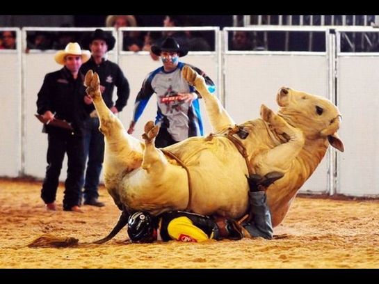 You doin it Wrong - Bull Riding