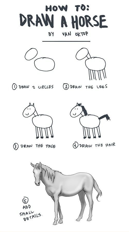 So zeichnet man ein Pferd