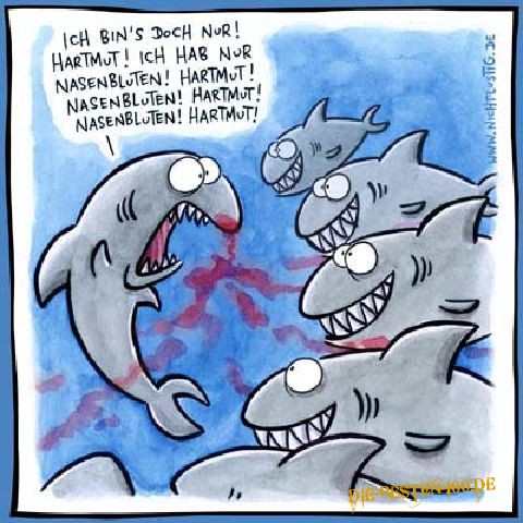 Die besten 100 Bilder in der Kategorie cartoons: Hai, Nasenbluten