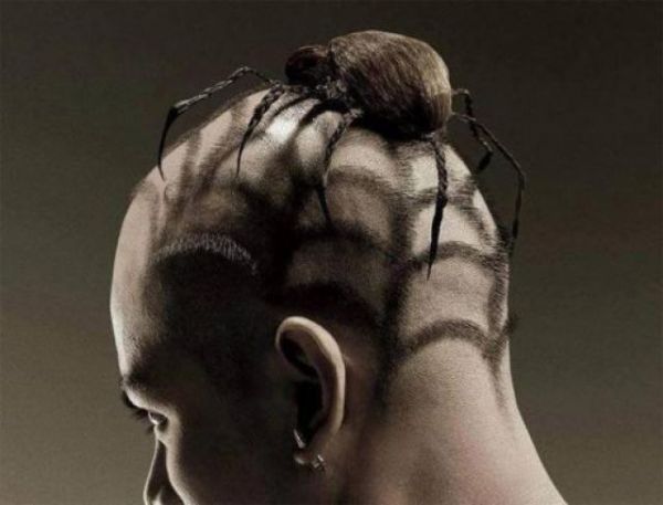 Die besten 100 Bilder in der Kategorie frisuren: Spinne mit Spinnennetz-Frisur