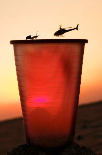 Die besten 100 Bilder in der Kategorie optischetaeuschung: Mini Hubschrauber und Godzilla Ameise