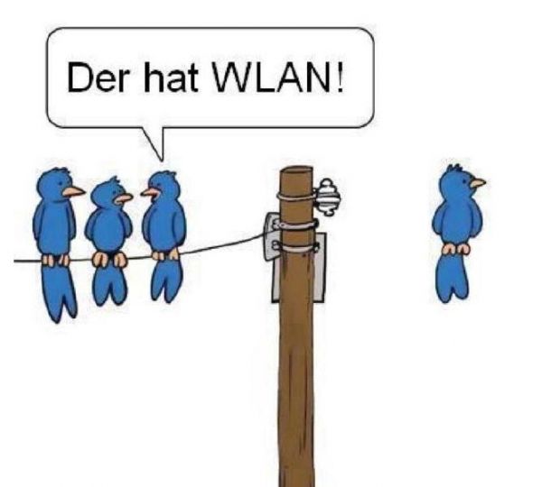 Die besten 100 Bilder in der Kategorie cartoons: Der hat Wlan - Vogel Cartoon