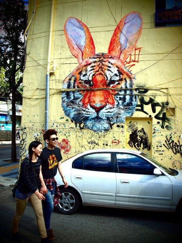 Die besten 100 Bilder in der Kategorie graffiti: Tiger-Rabbit - Grafitti Street Art