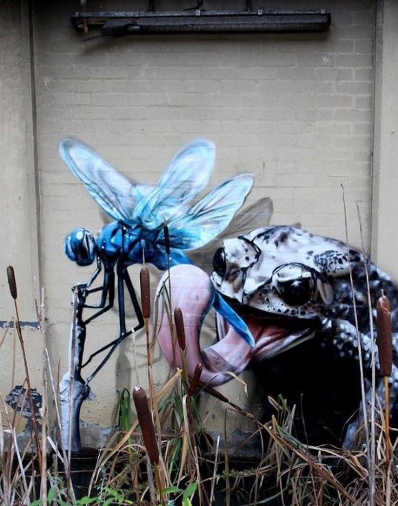 Die besten 100 Bilder in der Kategorie graffiti: Libelle und Frosch Grafitti