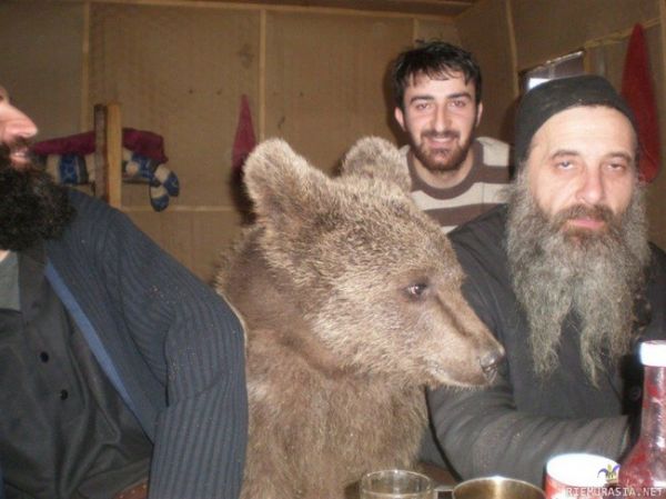 Meanwhile in Russia - Party with Bear