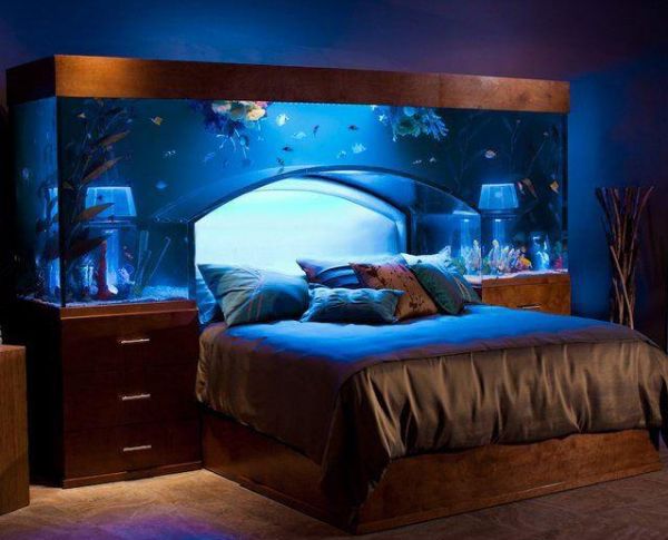 Nette Idee - Schlafen unter Aquarium