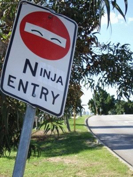 Schild, Ninja