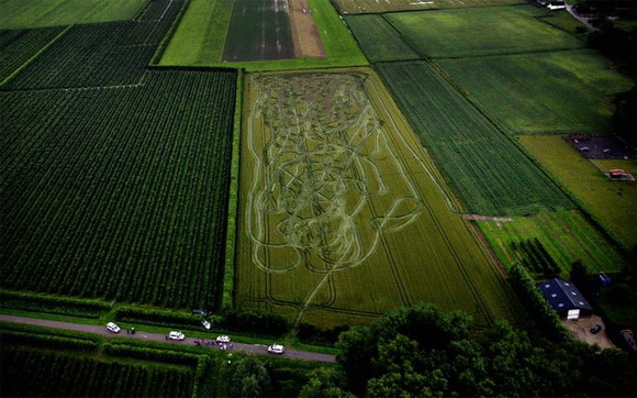 Die besten 100 Bilder in der Kategorie unglaublich: Feld, Verfolgungsjagd