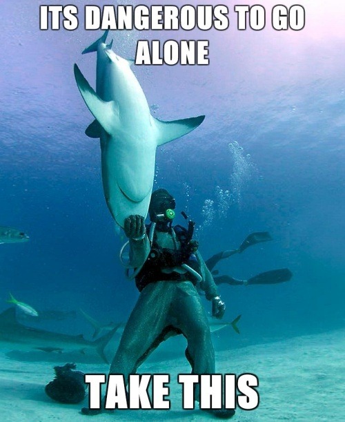 Die besten 100 Bilder in der Kategorie fische_und_meer: Its dangerous to go alone - take this