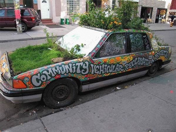 auto, pflanzen, grafity