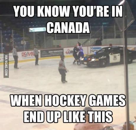Die besten 100 Bilder in der Kategorie sport: You konw Your are in Canada when Hockey Games End Up Like This
