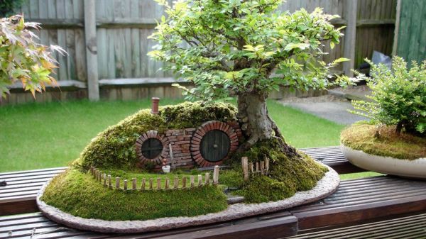 Beautiful - Bonsai Hobbit Haus Landschaft Baum