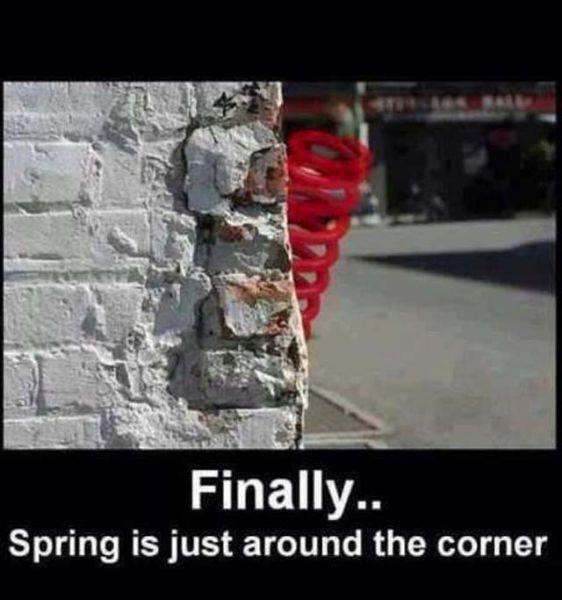 Finally.. Spring is just around the corner