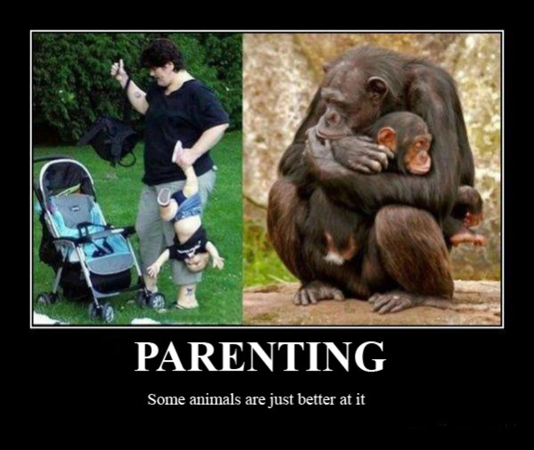 Parenting - Some Animals are just better at it