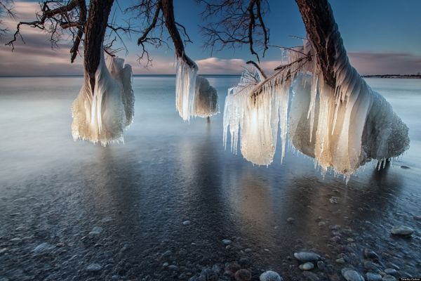 Die besten 100 Bilder in der Kategorie natur: Eis-Formationen an Baum