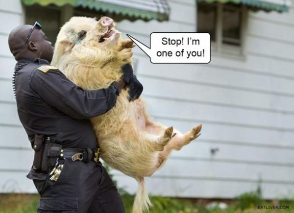 Polizeigewalt - Stop! I am one of you!