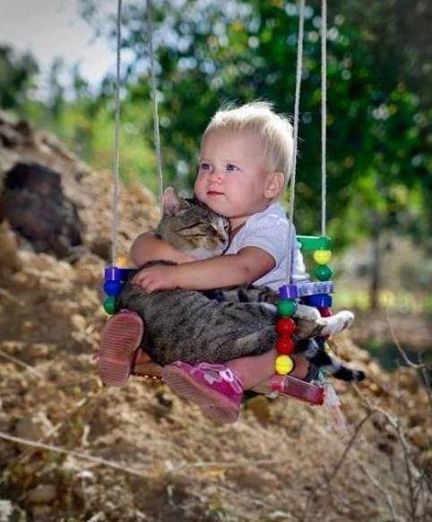 Die besten 100 Bilder in der Kategorie kinder: Kind mit Katze