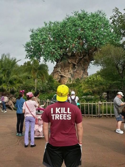 Die besten 100 Bilder in der Kategorie t-shirt_sprueche: I kill trees
