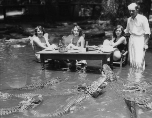 Die besten 100 Bilder in der Kategorie gefaehrlich: Dinner Krokodilbecken