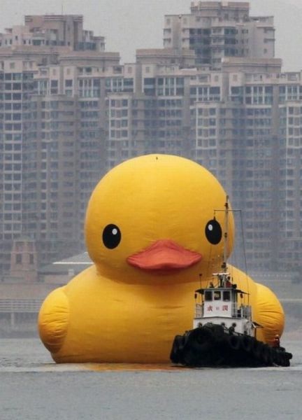 Die besten 100 Bilder in der Kategorie allgemein: Riesen Ente
