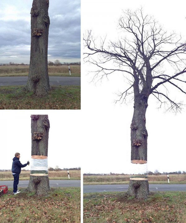 Graffiti, Baum, optische TÃ¤uschung