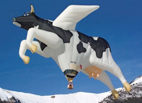 flying, cow, milk, creative hot-air balloon