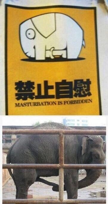 Masturbation, Schild, Elefant, RÃ¼ssel