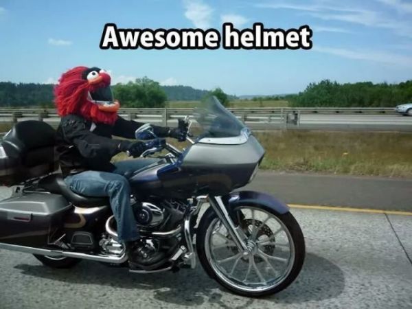 Muppet show, Motorrad, Helm, witzig